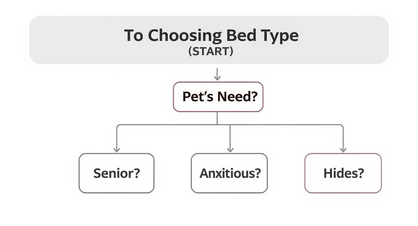 Flowchart showing decision tree for choosing pet bed type based on pet's specific needs