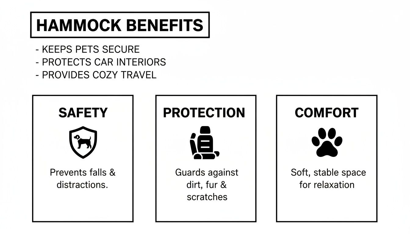 A diagram illustrating the benefits of a pet car hammock for safety, protection, and comfort.