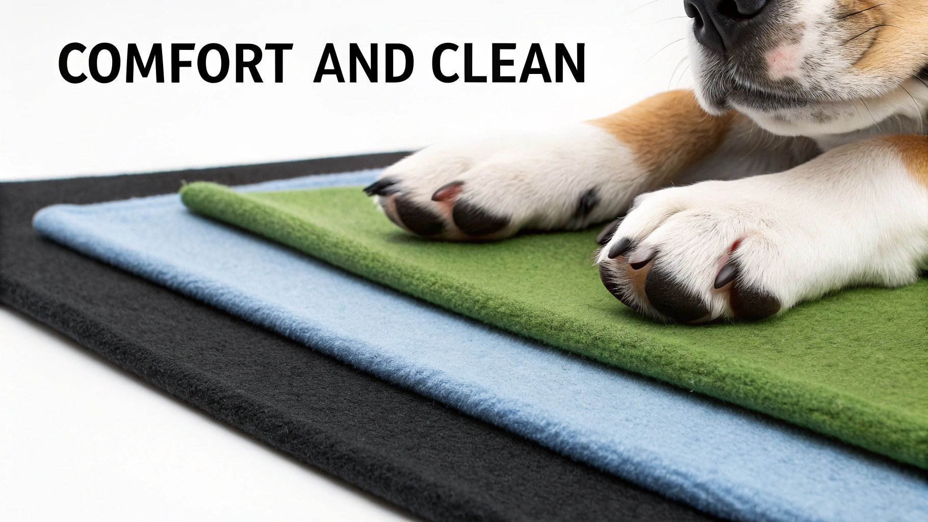 Close-up of a dog's paws resting on layered green, light blue, and black soft fabric mats, emphasizing comfort and cleanliness.