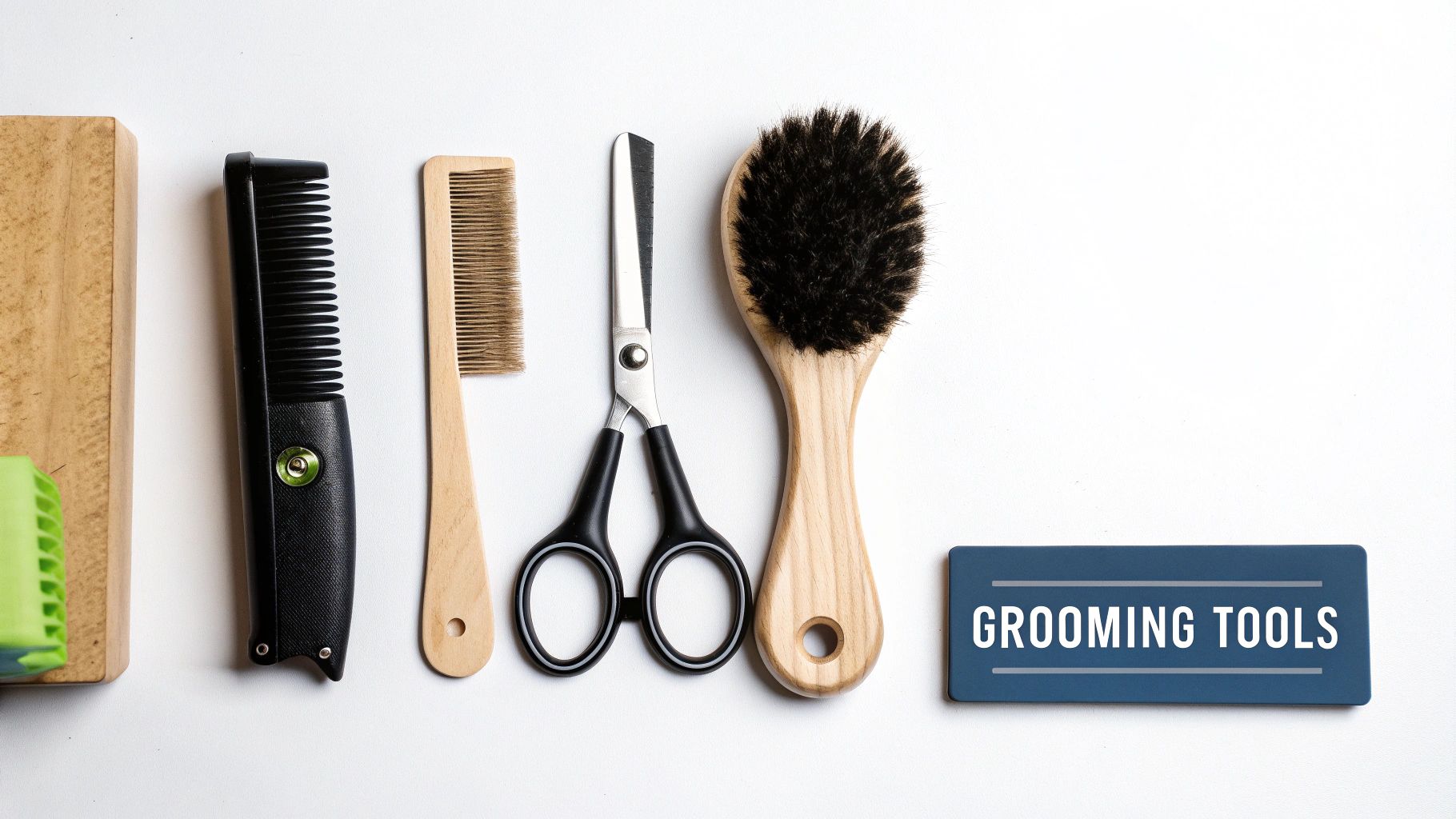 A collection of professional dog grooming tools laid out on a table