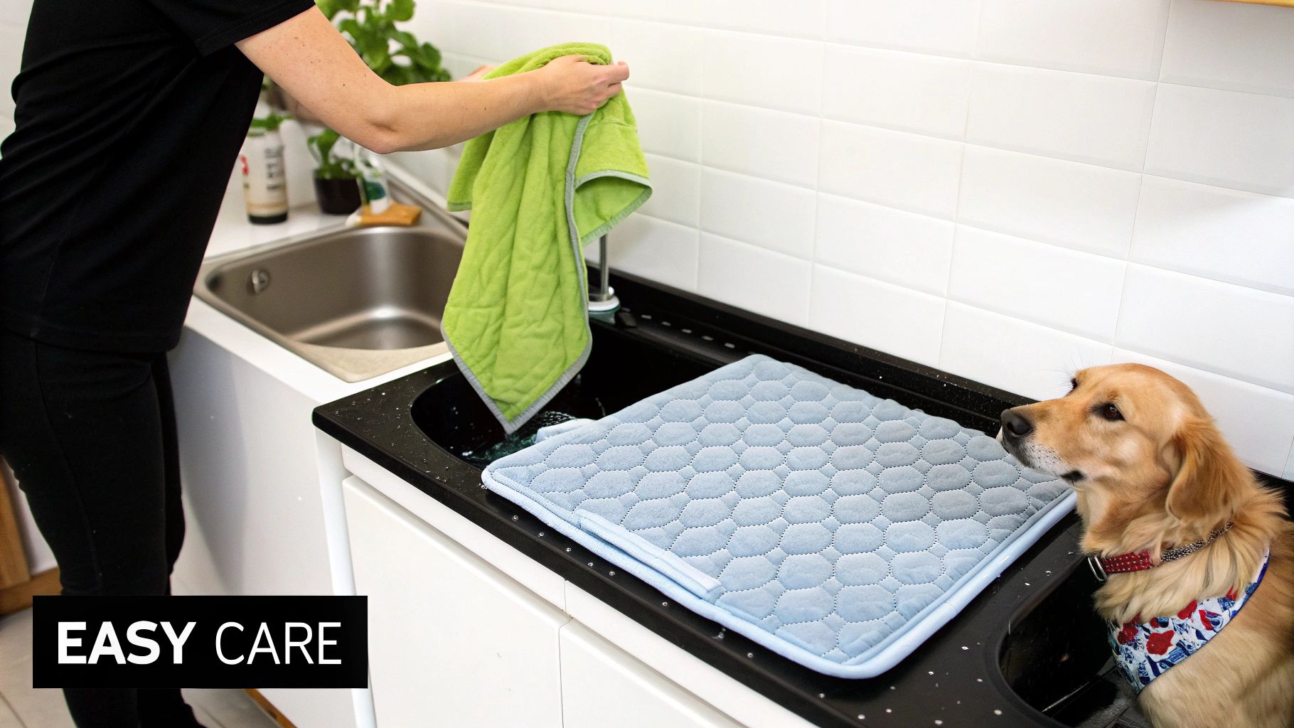 A person placing a clean, folded washable dog pee pad on the floor.