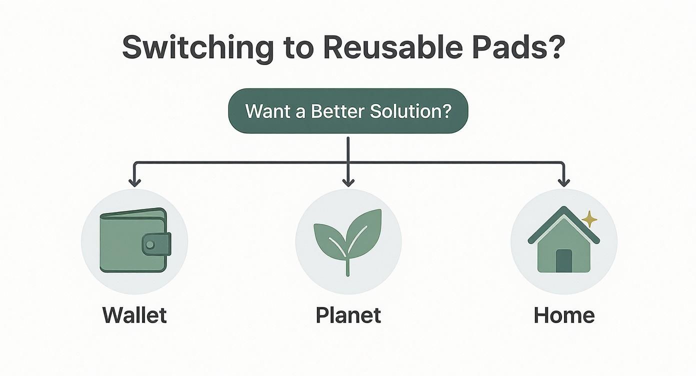 Diagram showing benefits of switching to reusable pads: wallet, planet, and home advantages.
