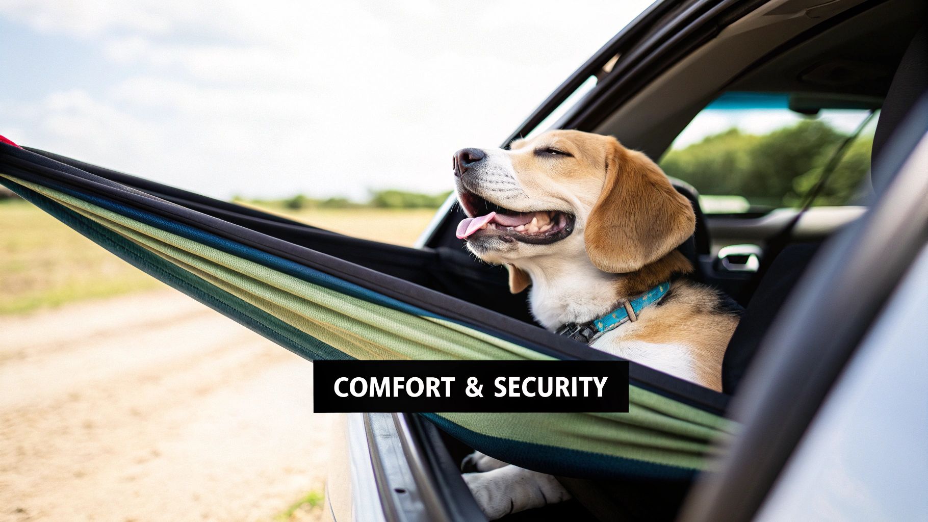 A happy dog sitting comfortably in a black pet hammock in the back of a car.