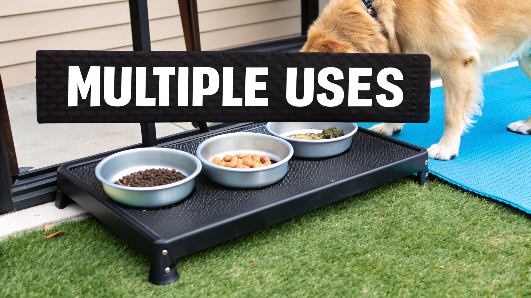 A dog comfortably resting inside a crate lined with a clean, soft washable pee pad.