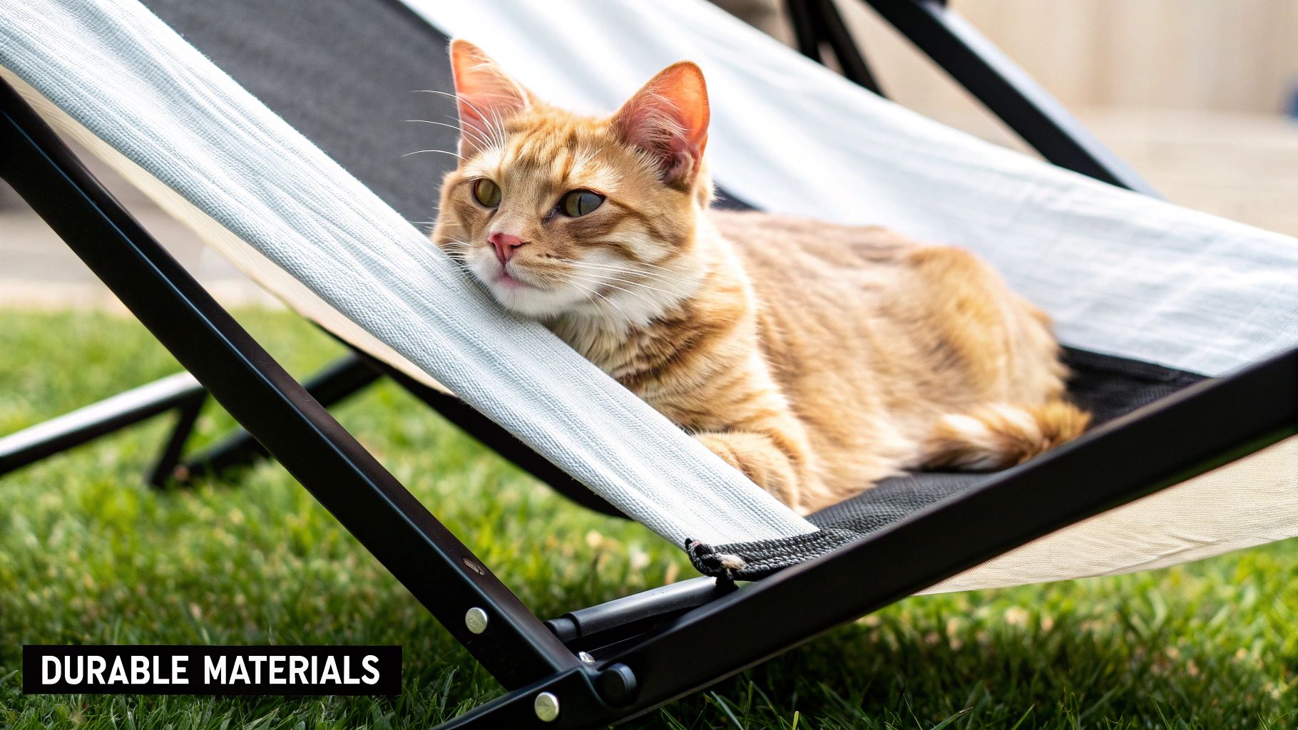 A close-up of a sturdy cat hammock showing thick fabric and a solid wooden frame.