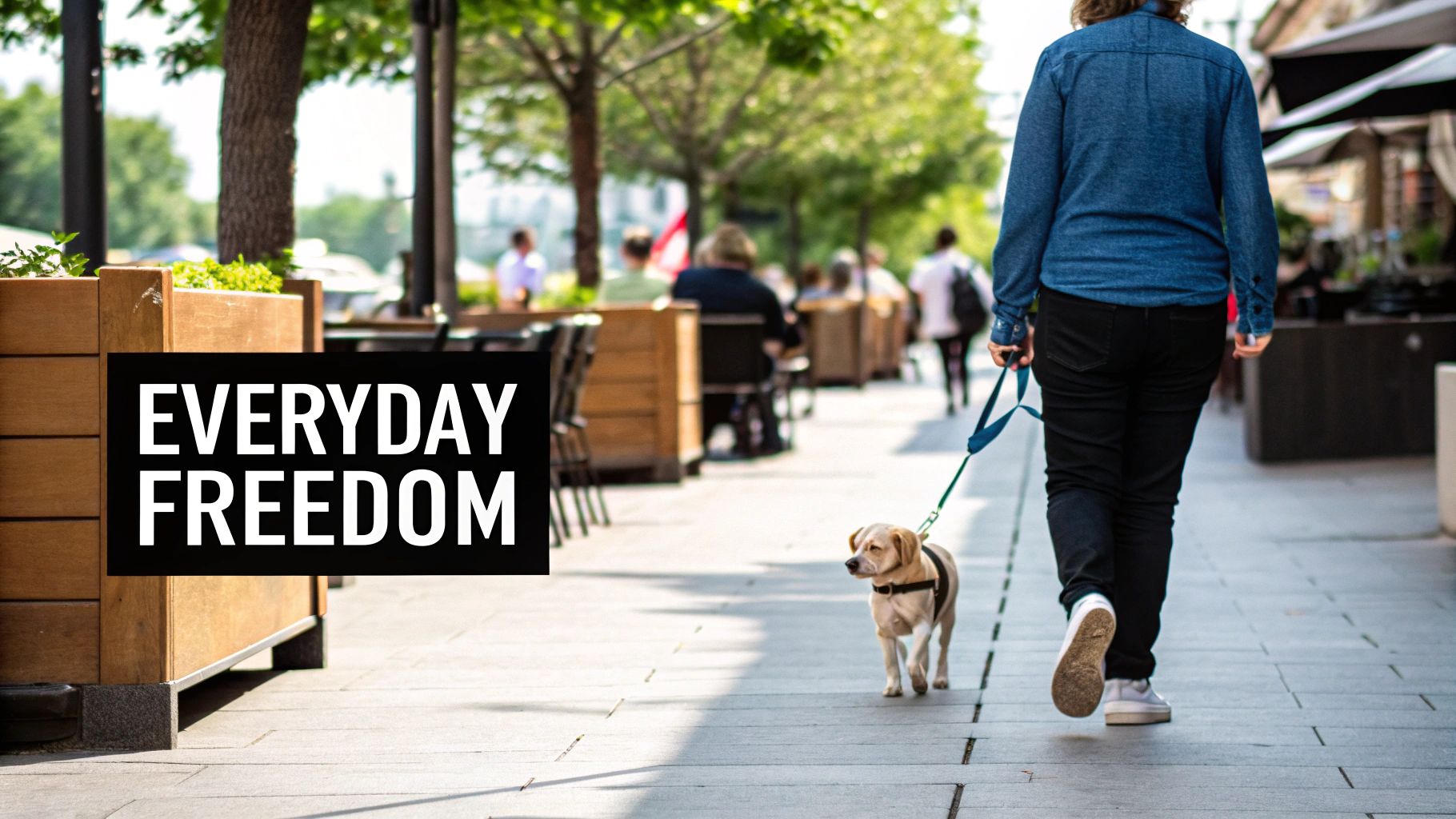 Rear view of a person walking a small dog on a leash on a city sidewalk with outdoor cafes.