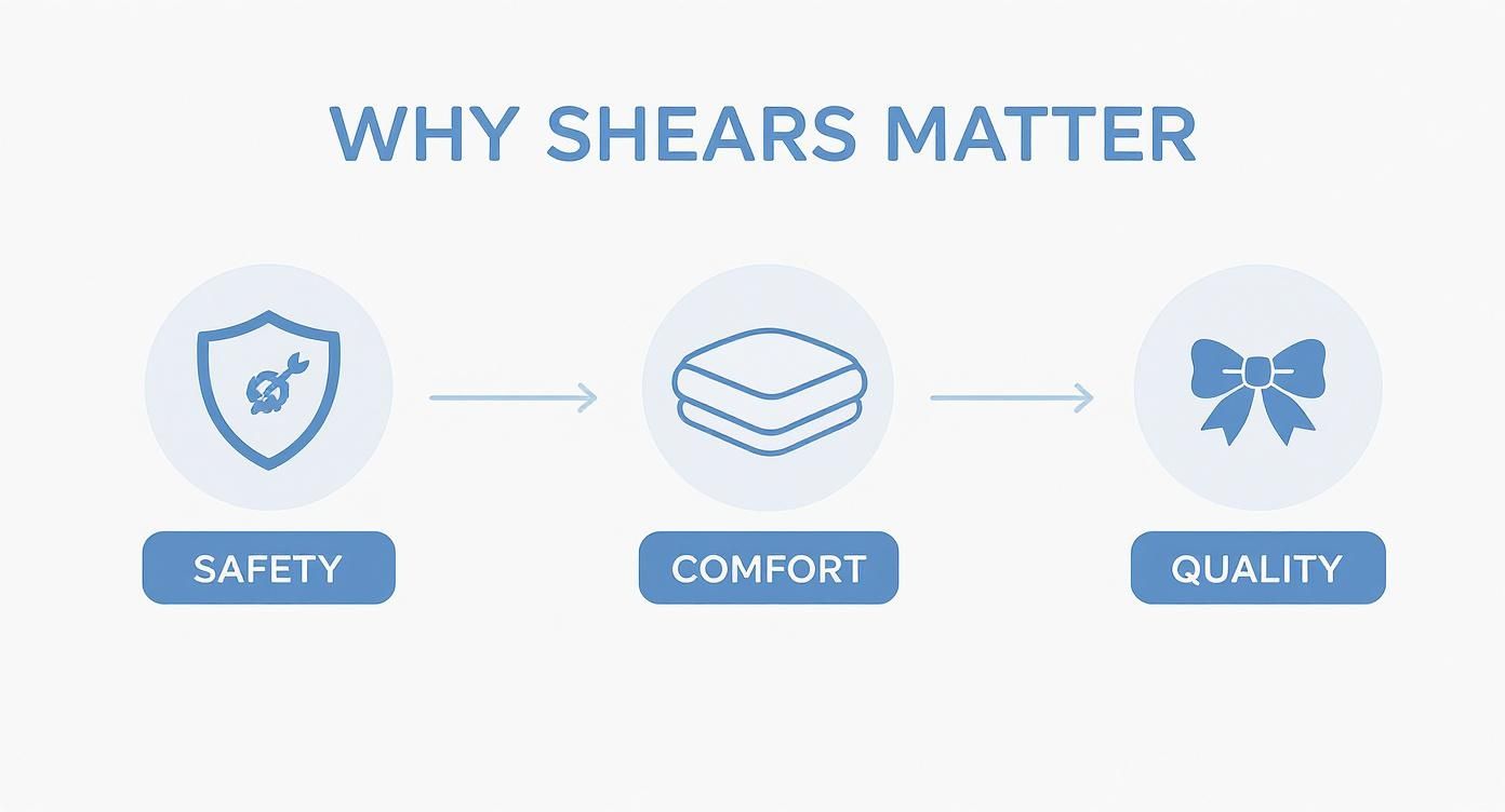Infographic about shears for dog grooming