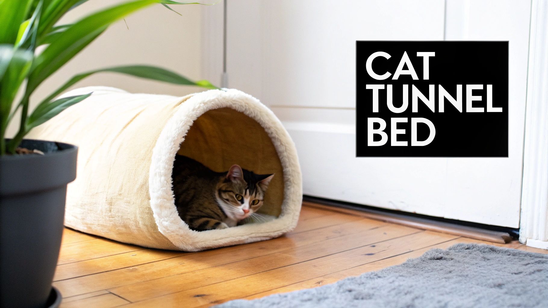 A tabby cat relaxing inside a cozy beige cat tunnel bed on a wooden floor.