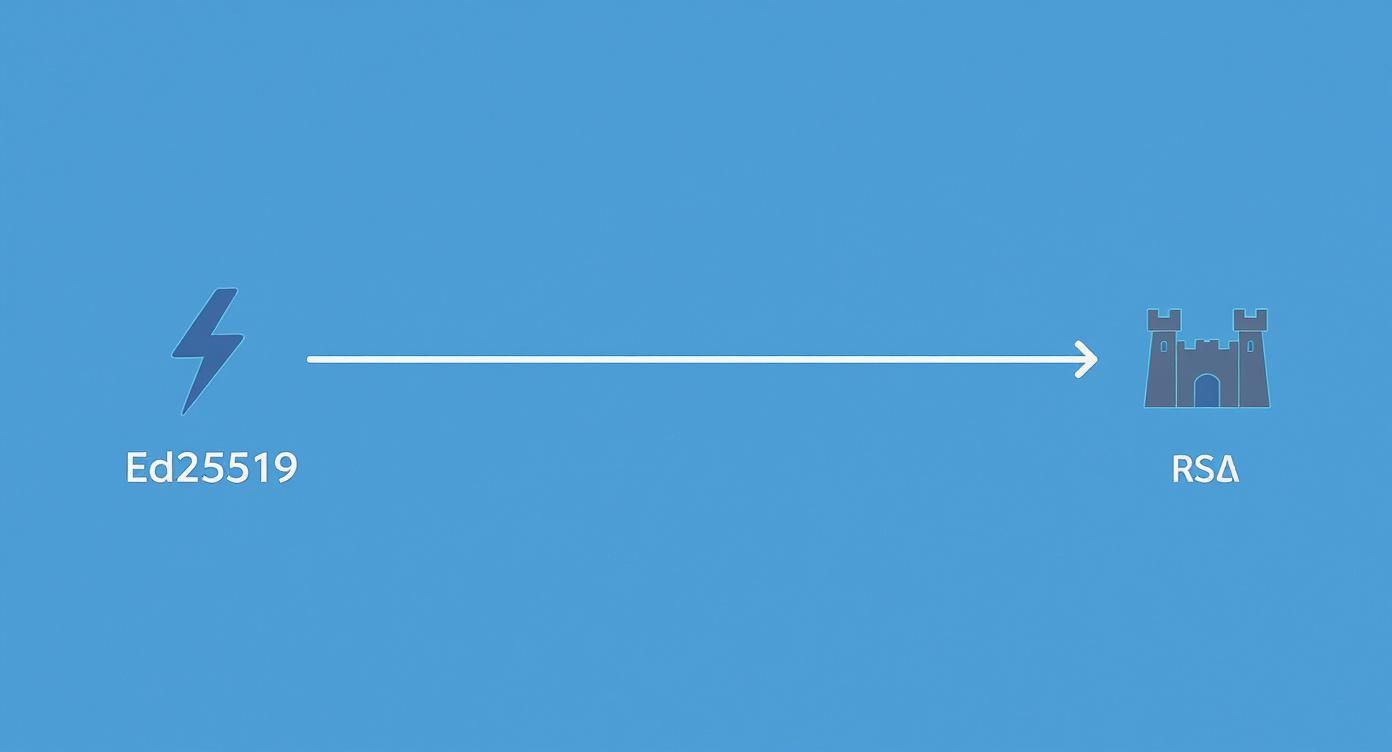 Grafik, die den Übergang oder Vergleich von Ed25519- zu RSA-Kryptographie zeigt, symbolisiert durch Blitz und Schloss.