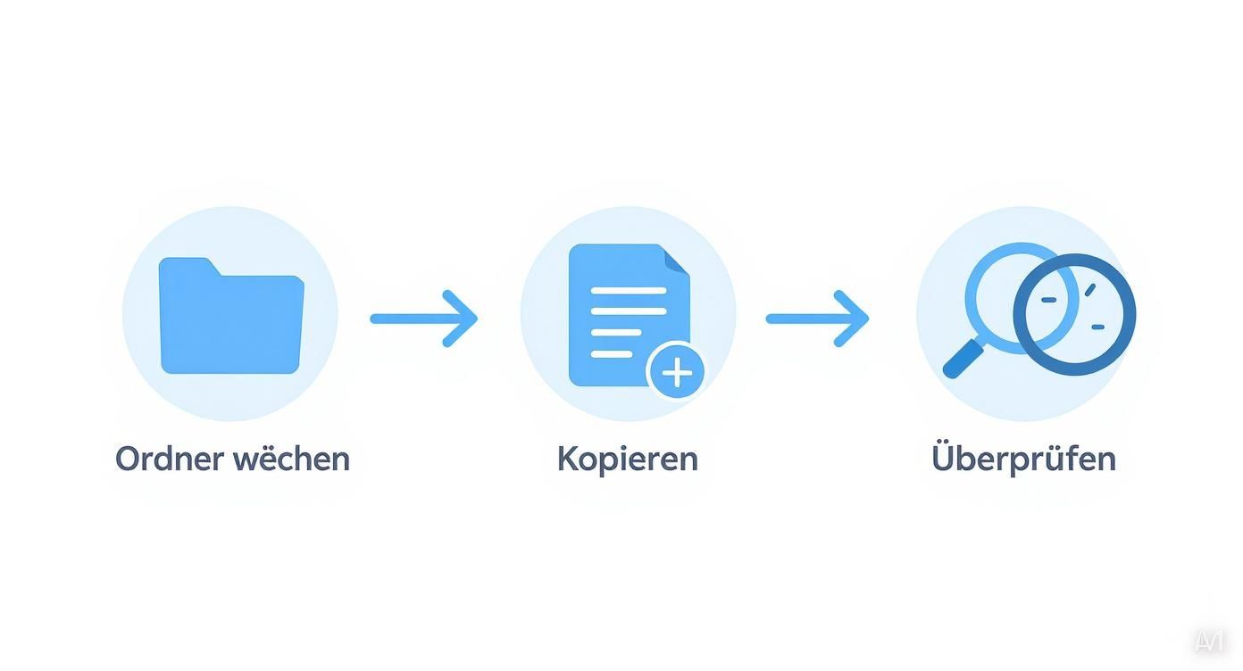Infographic about datensicherung auf usb-stick