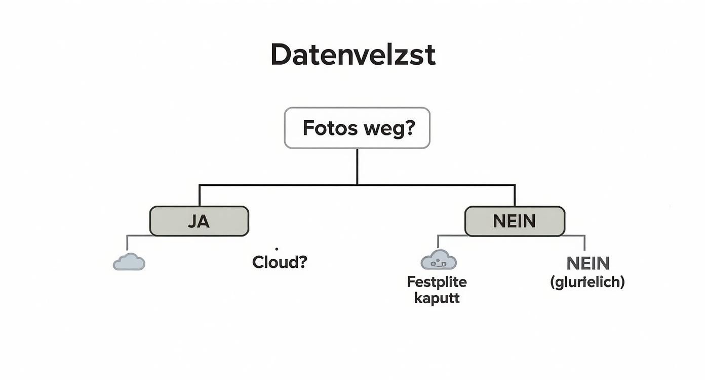 Infographic about fotos sichern cloud