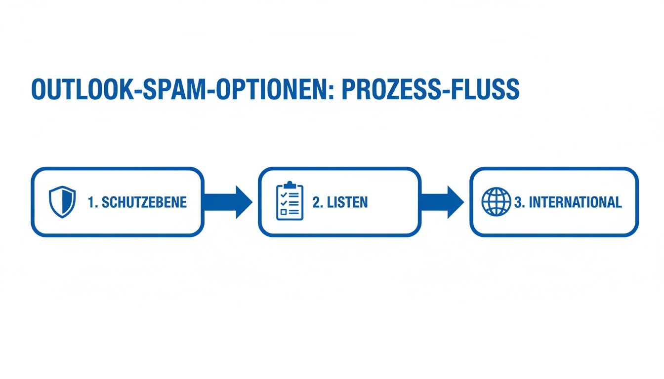 Flussdiagramm zeigt den Prozess für Outlook-Spam-Optionen mit Schutzebene, Listen und internationalen Einstellungen.