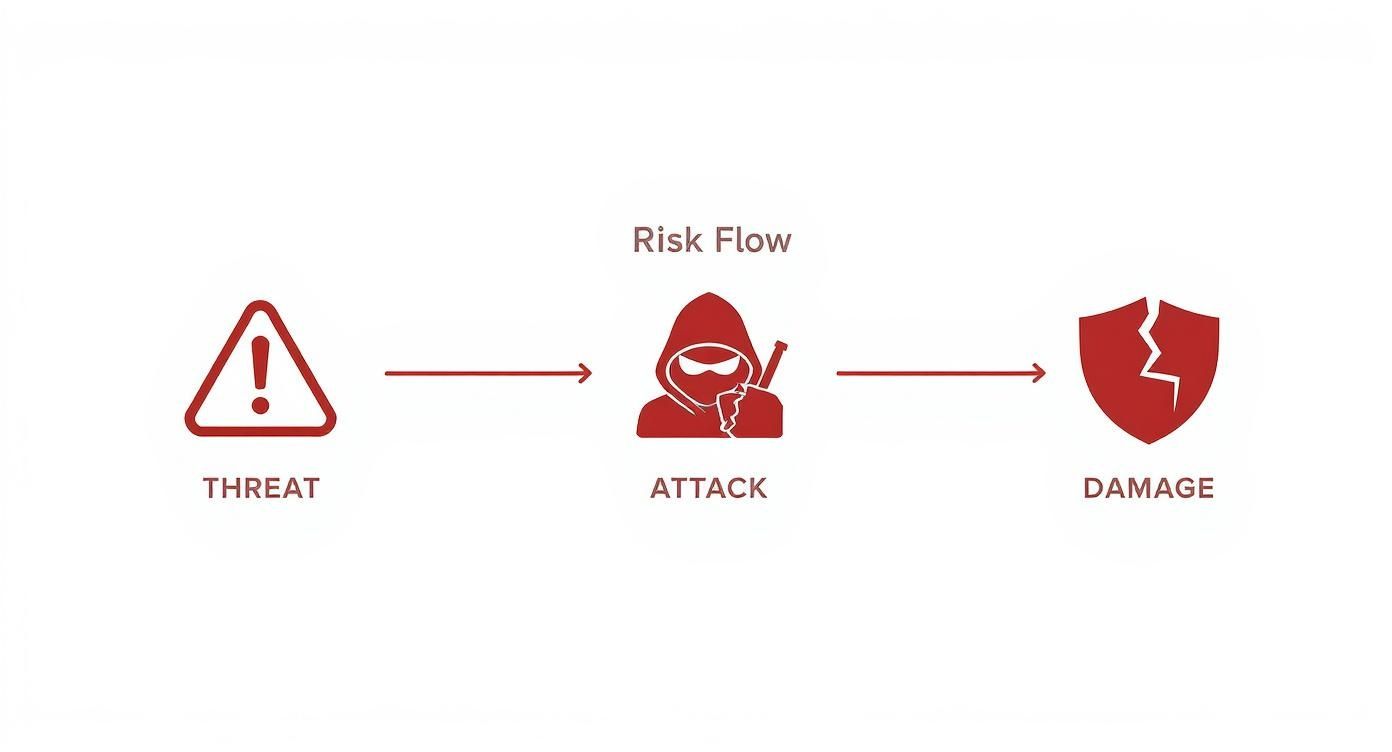 Infographic about patch management prozess