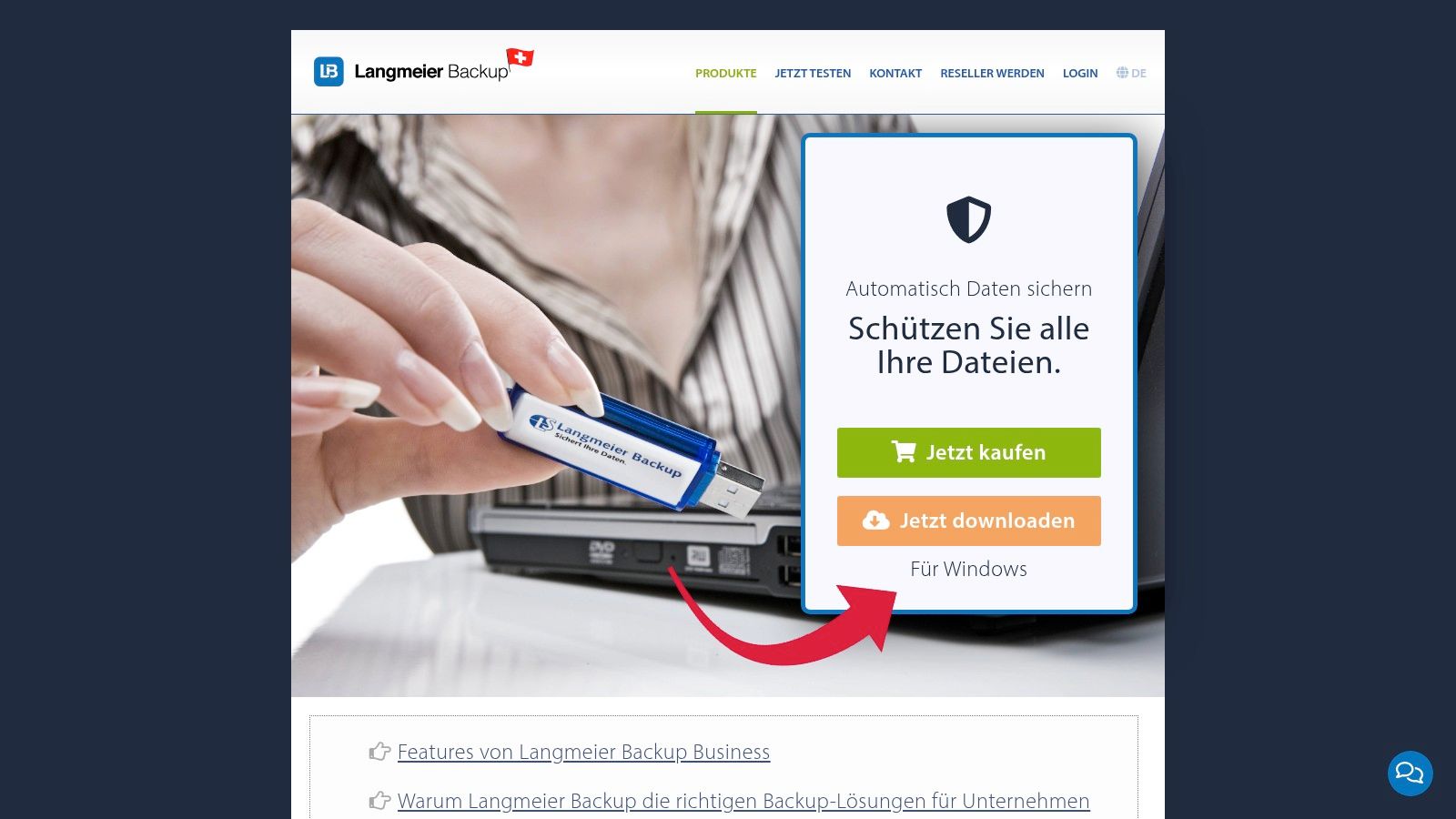 Langmeier Backup 12 Business