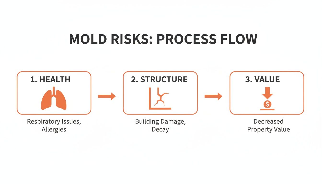 Mold risks process flow diagram highlighting health impacts, structural damage, and property value decrease, relevant to mold remediation services in Orange County.