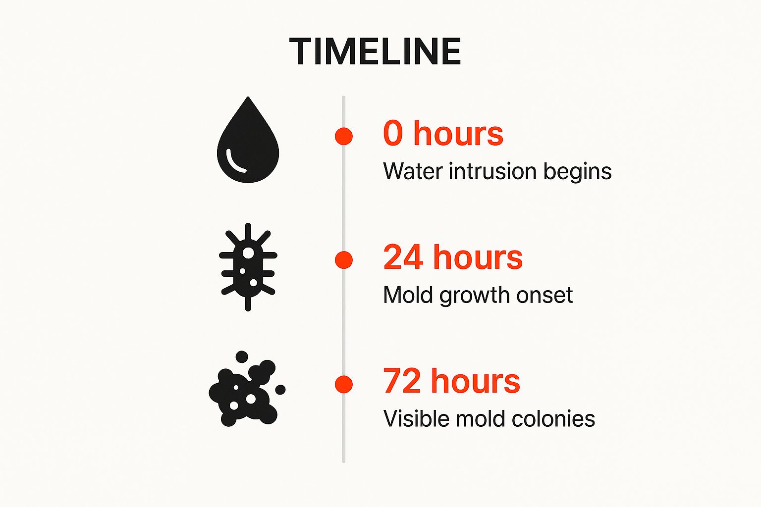 Timeline infographic illustrating water intrusion and mold growth stages: 0 hours - water intrusion begins, 24 hours - mold growth onset, 72 hours - visible mold colonies.