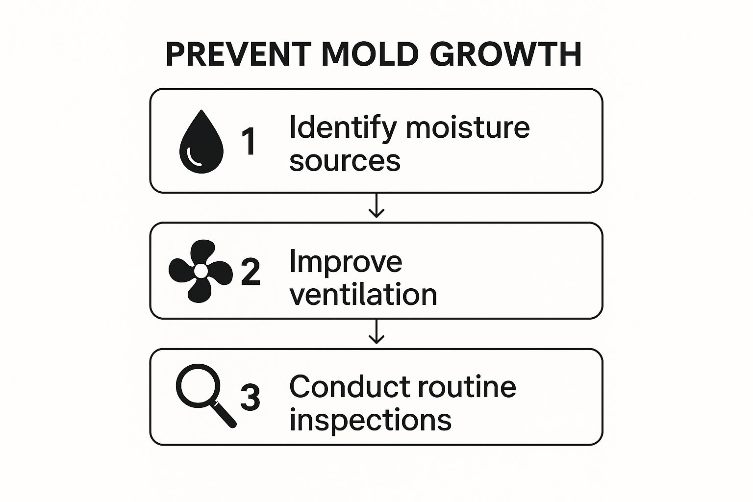 Prevent mold growth infographic illustrating three steps: 1) Identify moisture sources, 2) Improve ventilation, 3) Conduct routine inspections.