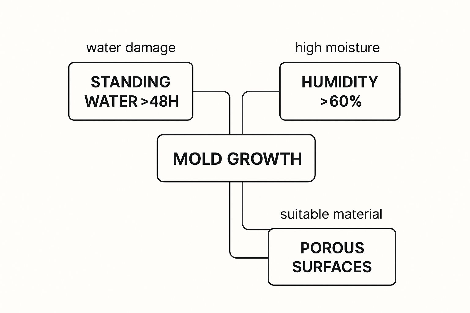 Diagram illustrating the relationship between water damage, high humidity, and mold growth, highlighting key factors like standing water, humidity levels above 60%, and porous surfaces.
