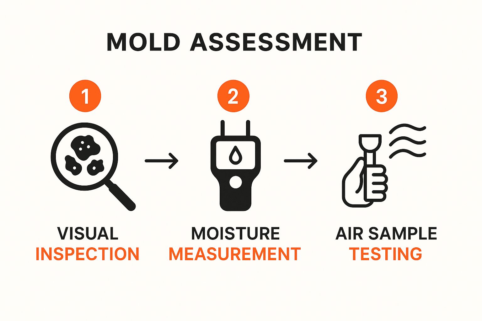 Mold assessment process infographic illustrating visual inspection, moisture measurement, and air sample testing steps for effective mold remediation.