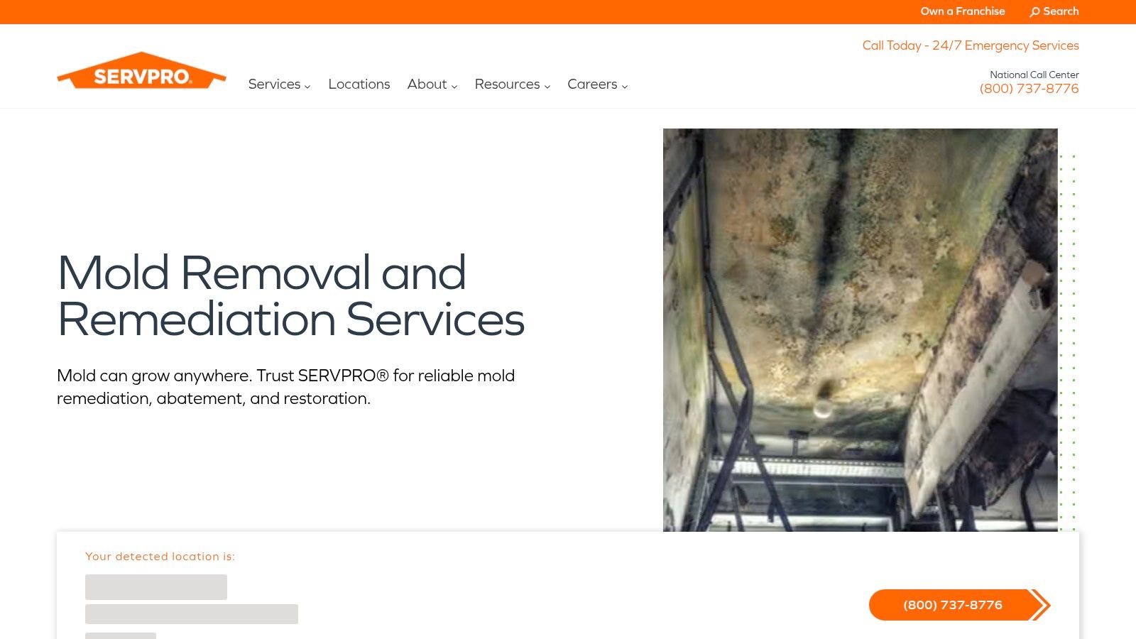 Mold growth on a wall in a damp environment, illustrating SERVPRO's mold removal and remediation services for effective restoration.