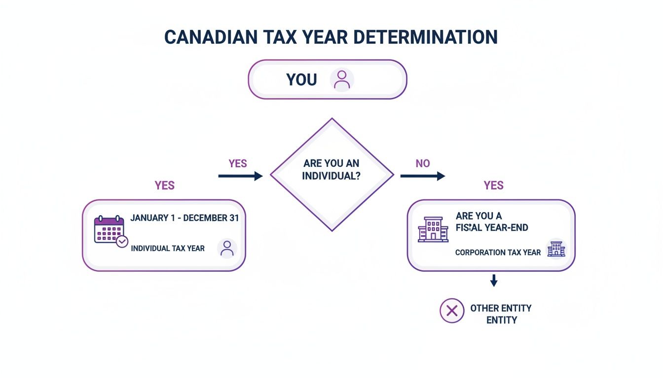 Flowchart explaining Canadian tax year determination for individuals and corporations.