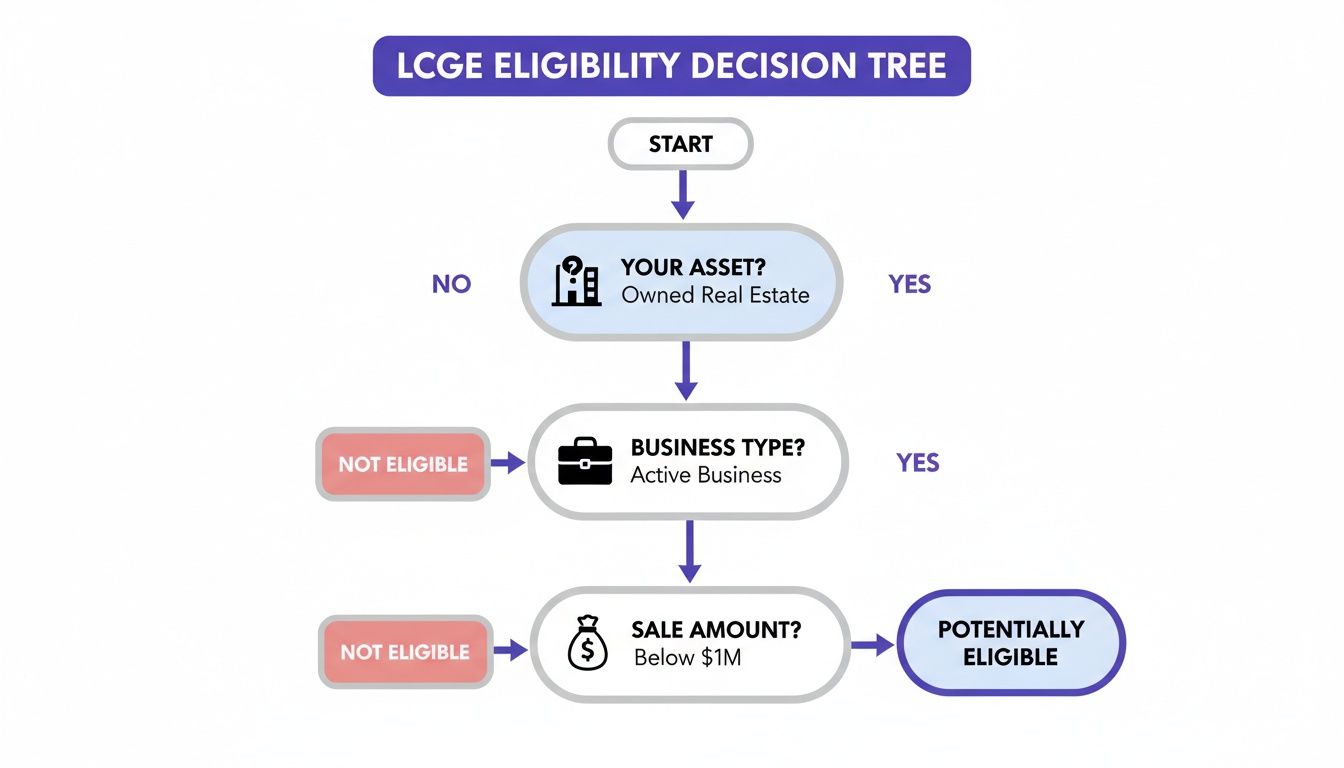 Decision tree flowchart for LCGE eligibility, considering asset type, business type, and sale amount.