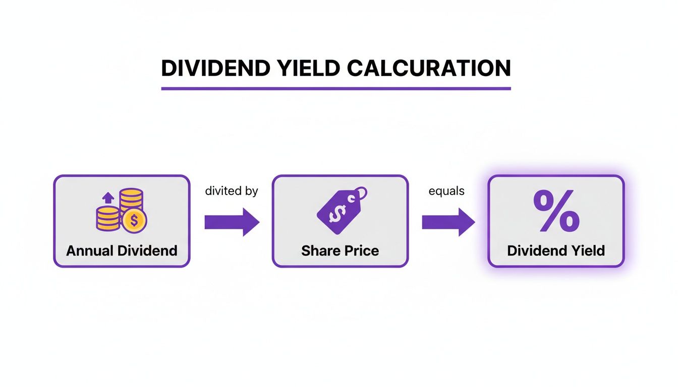 A clear diagram illustrating the dividend yield calculation: Annual Dividend divided by Share Price equals Dividend Yield.