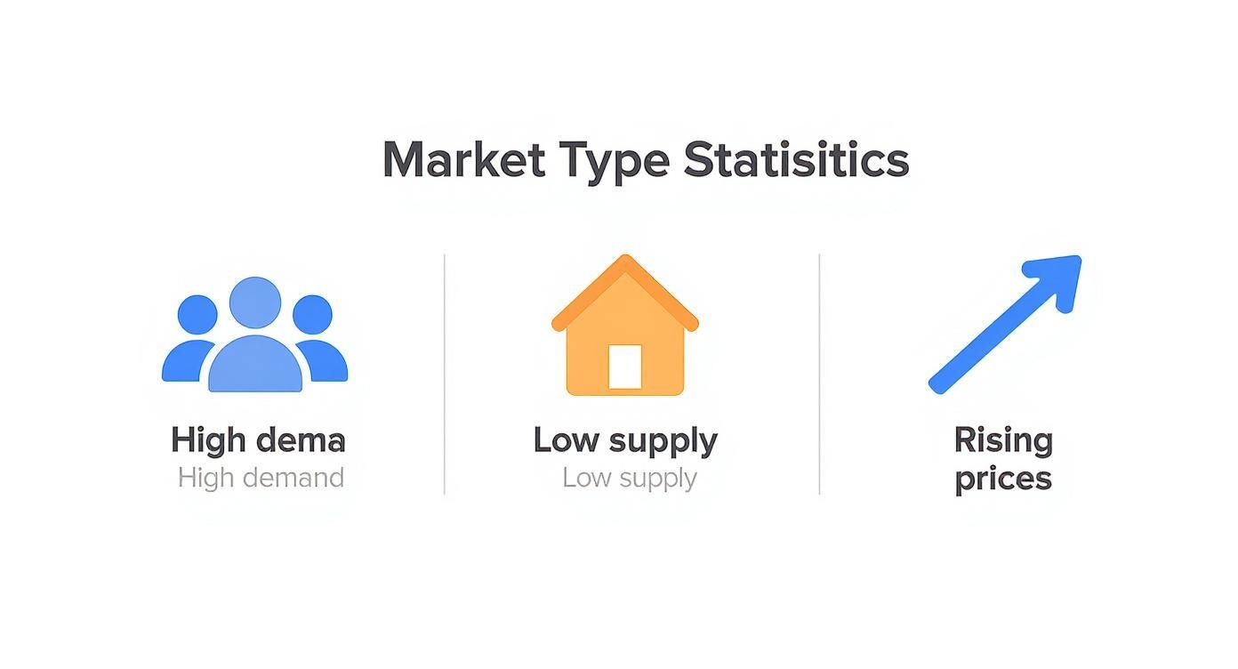 An infographic illustrating market type statistics with high demand, low supply, and rising prices.