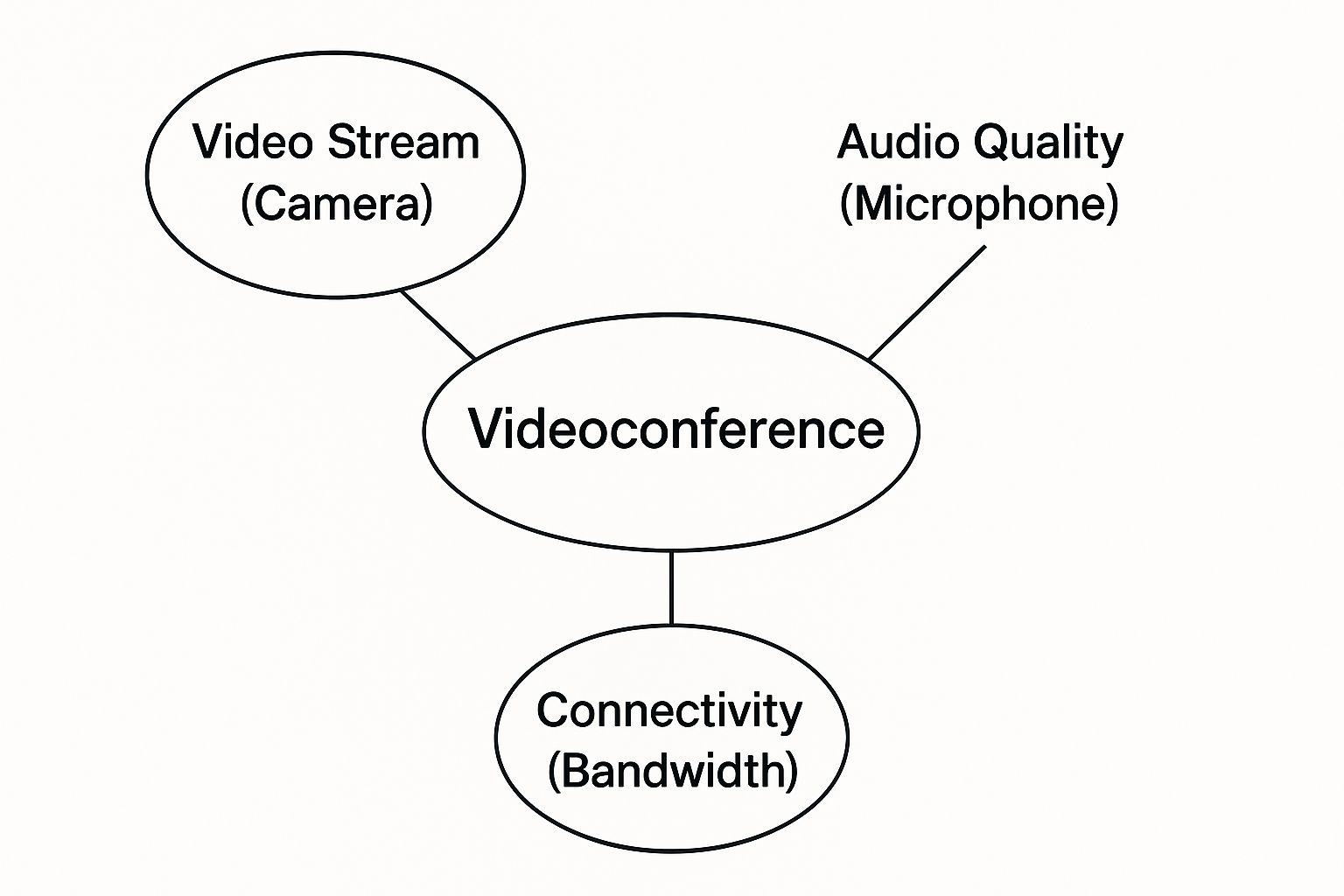 Infographic about what is a videoconference