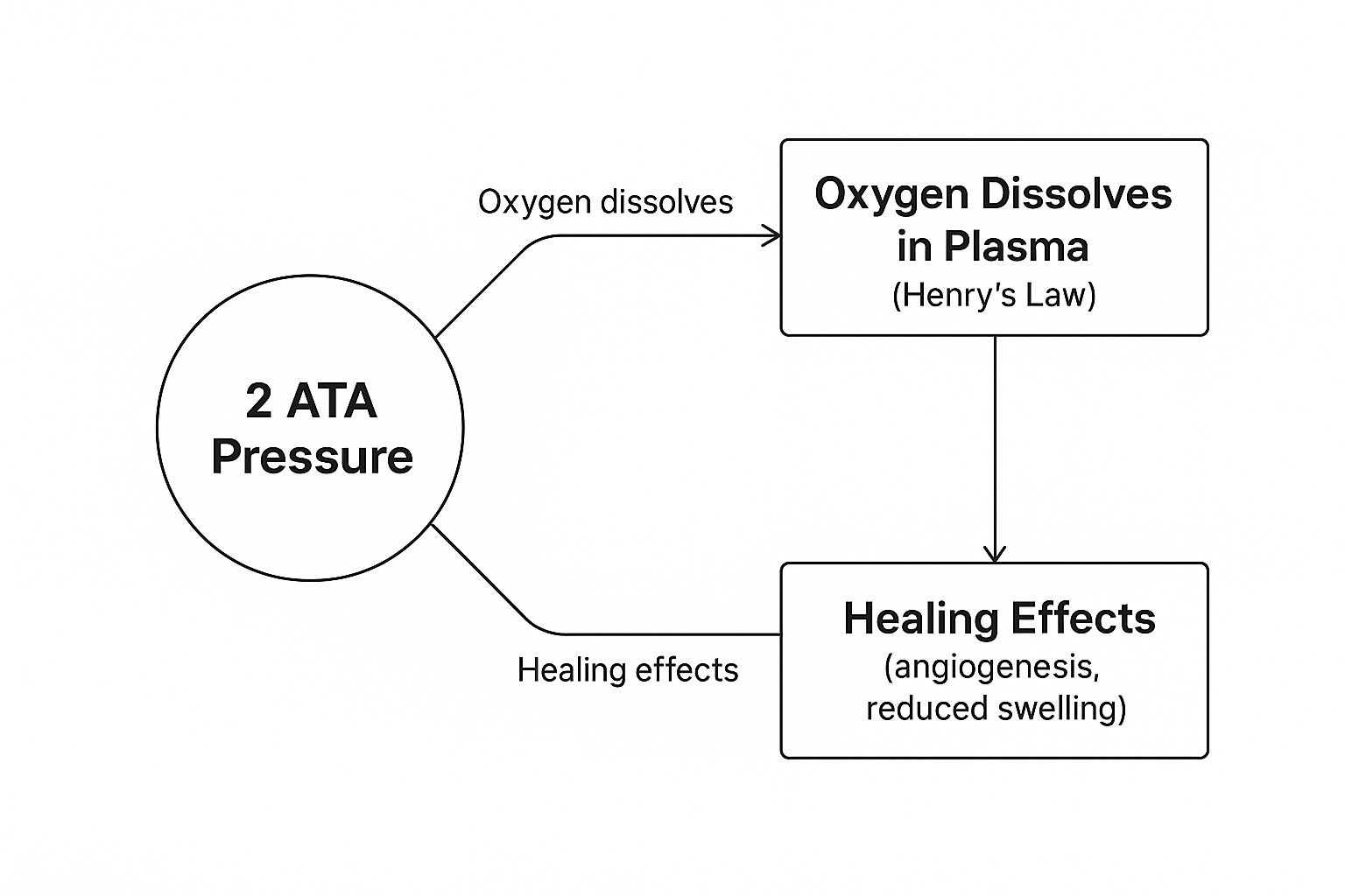 Infographic about 2 ata hyperbaric chamber