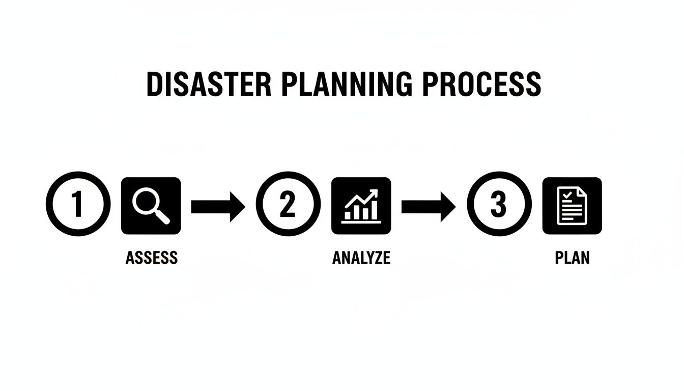 A diagram illustrating the disaster planning process with three sequential steps: Assess, Analyze, and Plan.