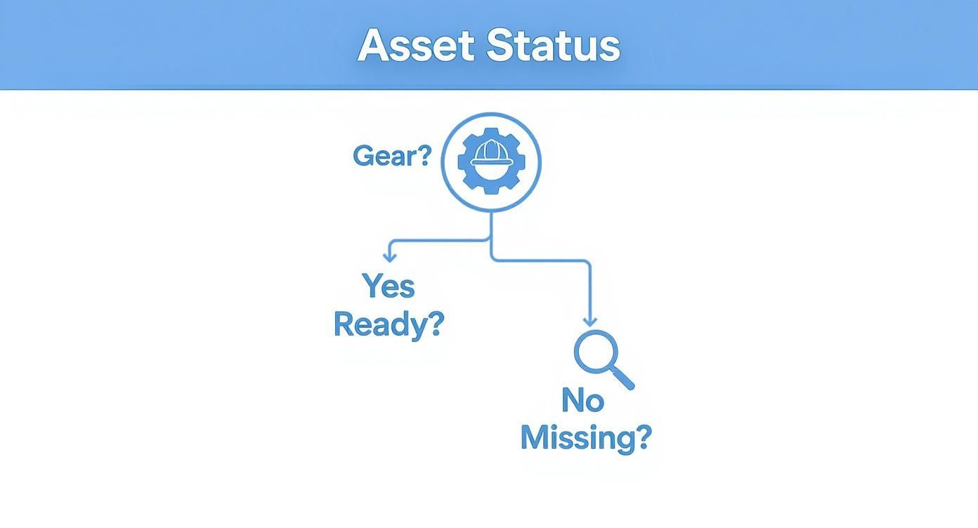 Infographic about assets and inventory