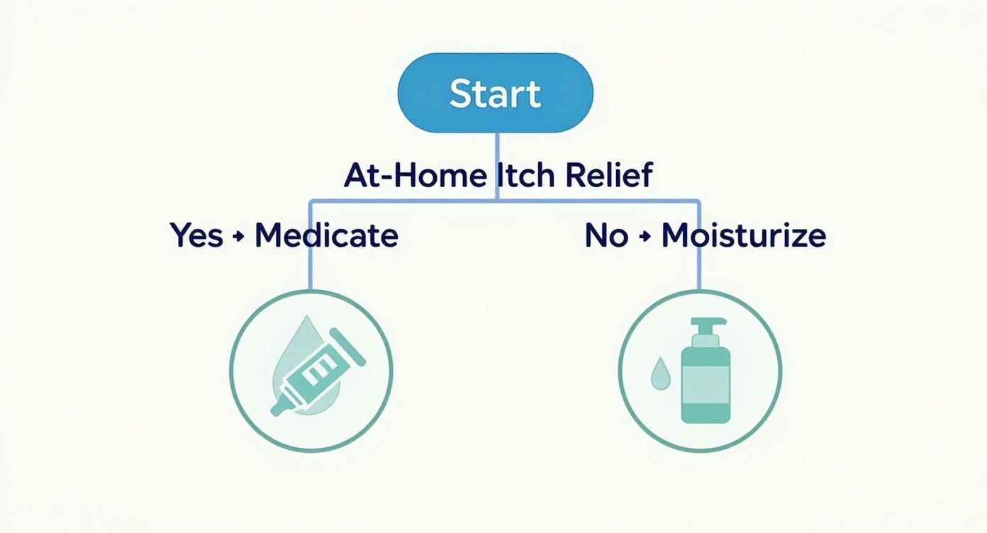 Flowchart showing at-home itch relief decision tree with medication and moisturizing treatment options