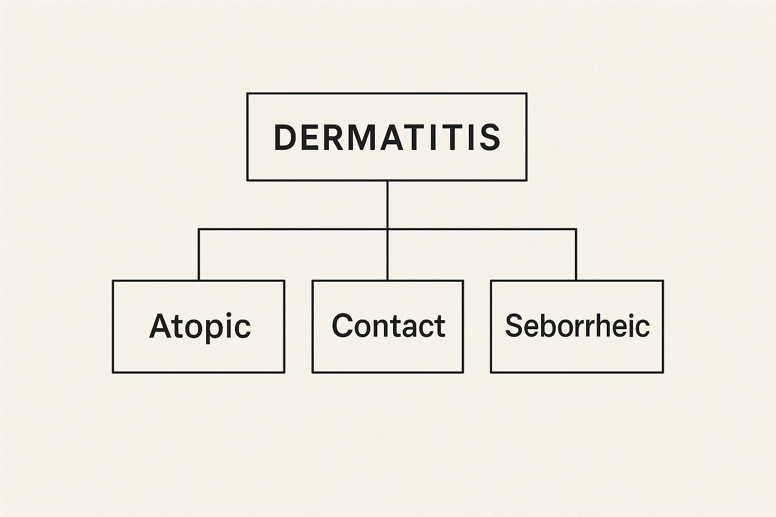 Flowchart on a white background detailing types of dermatitis: Atopic, Contact, and Seborrheic. Simple black text and lines.