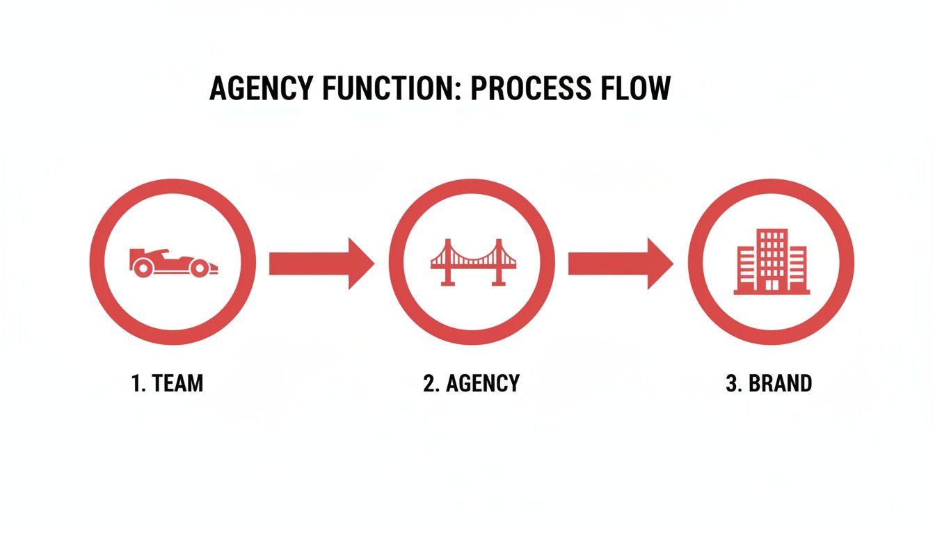 Process flow for agency function: Team to Agency to Brand, depicted with a car, bridge, and building icons.