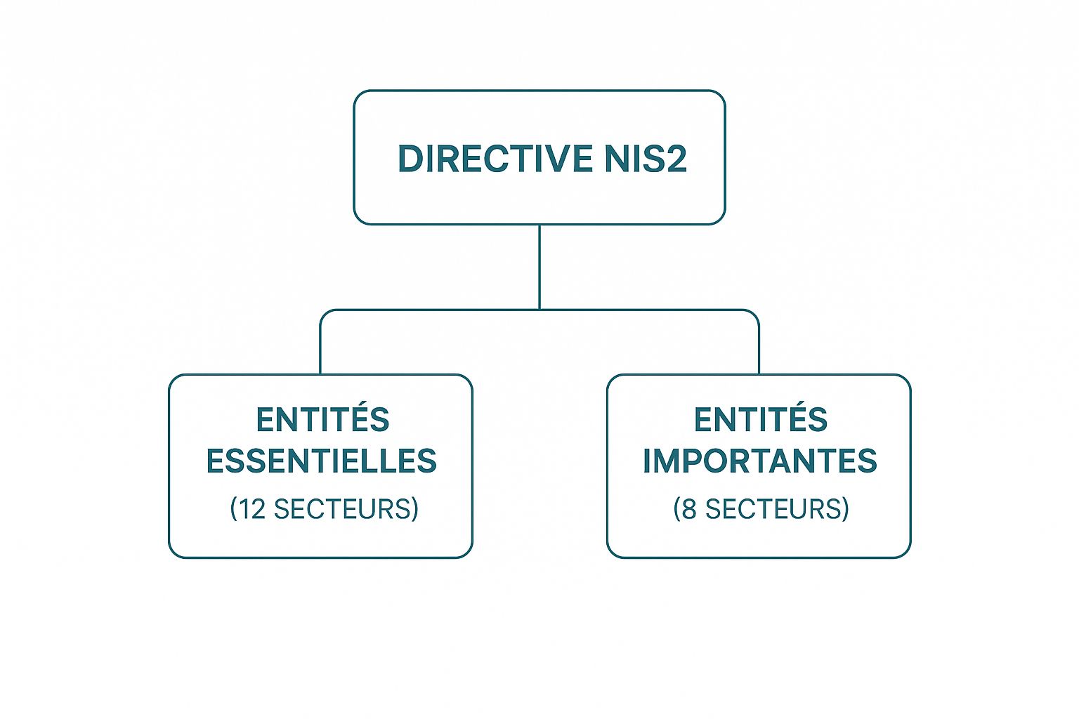 Infographie illustrant la hiérarchie de la directive NIS 2, avec les entités essentielles (12 secteurs) et les entités importantes (8 secteurs).
