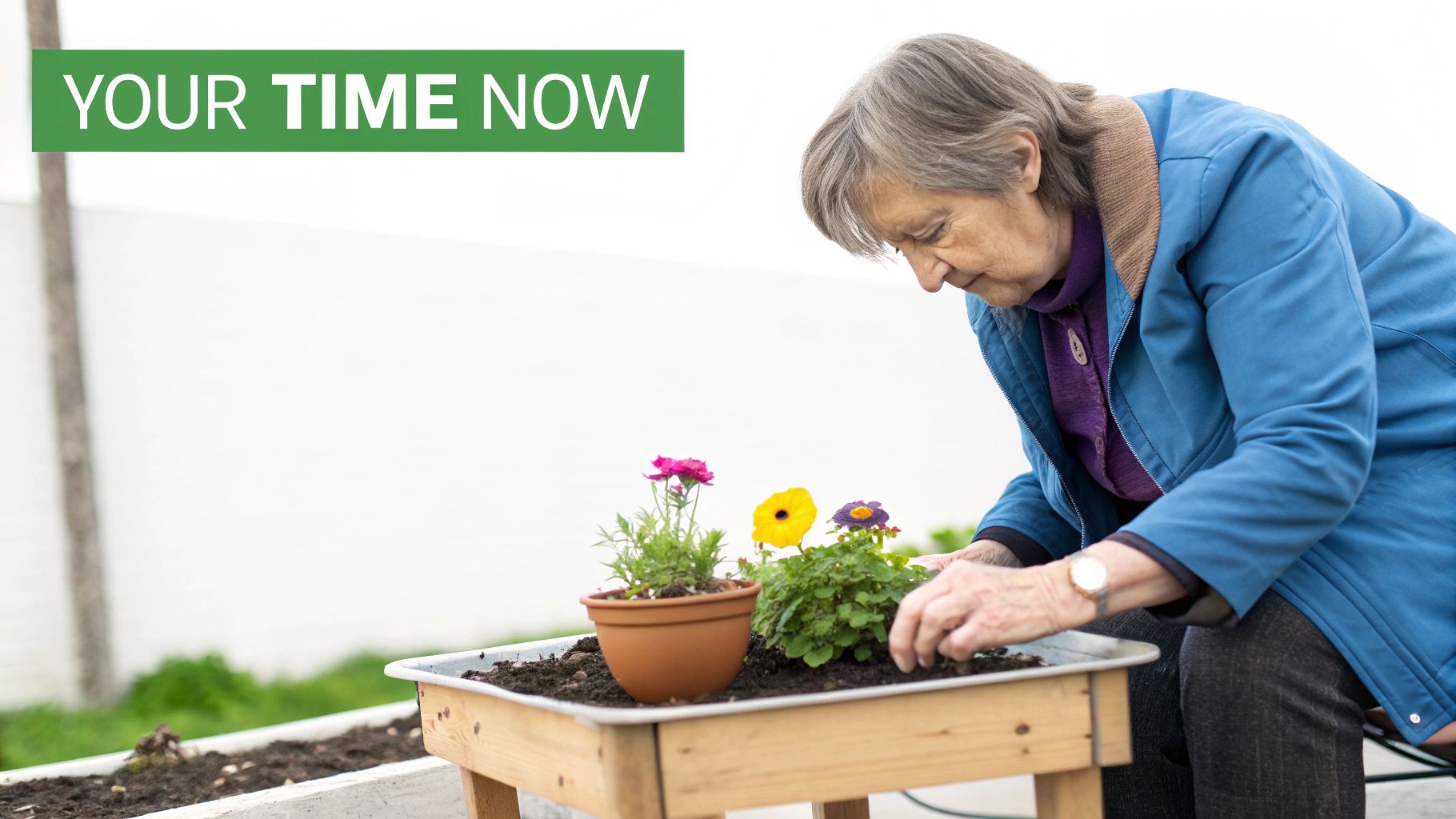 An elderly woman focused on planting colorful flowers in a raised garden bed outdoors.