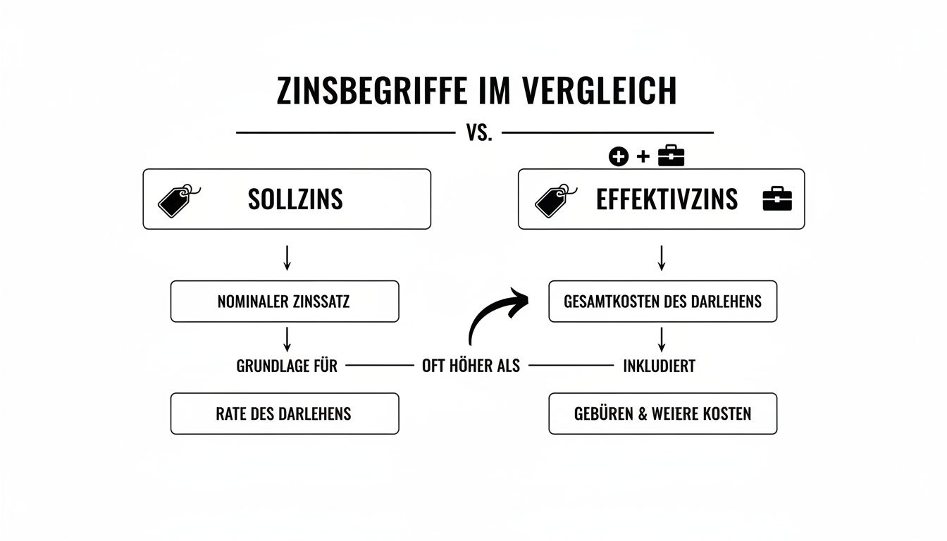 Diagramm, das Sollzins und Effektivzins vergleicht, inklusive deren Berechnungsgrundlagen und Bestandteile.