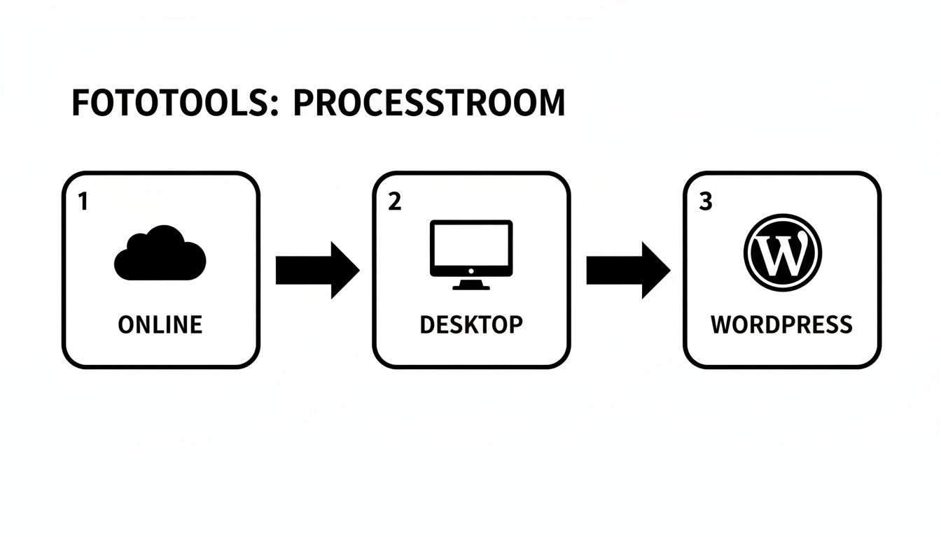 Een processtroomdiagram toont de stappen van online via desktop naar WordPress voor fotobewerking.