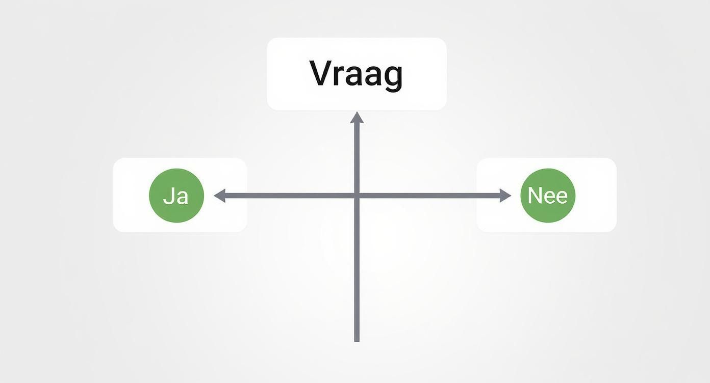Een schema met de Nederlandse woorden "Vraag", "Ja" en "Nee" om een beslissingsproces te illustreren.
