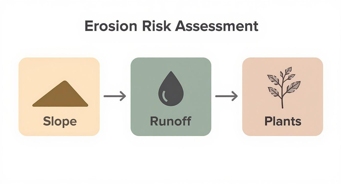 Erosion risk assessment diagram showing three factors: slope, runoff, and plants connected by arrows