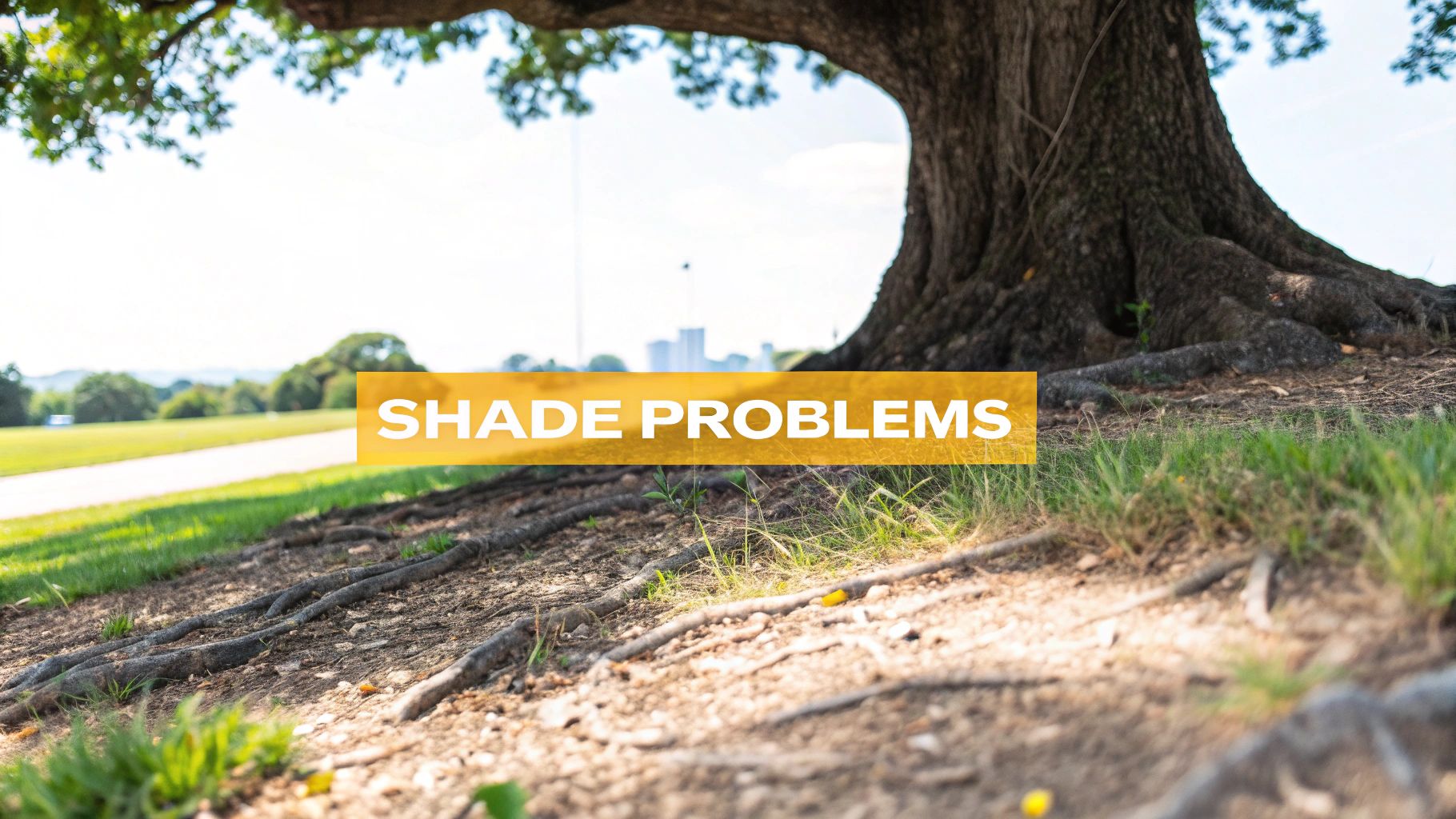 A large tree with prominent exposed roots and a 'SHADE PROBLEMS' banner across the grassy ground.