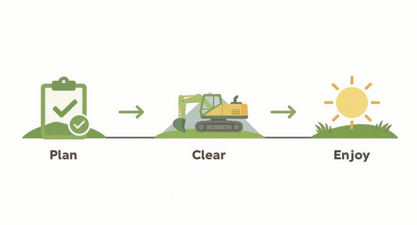 Infographic about brush removal service near me