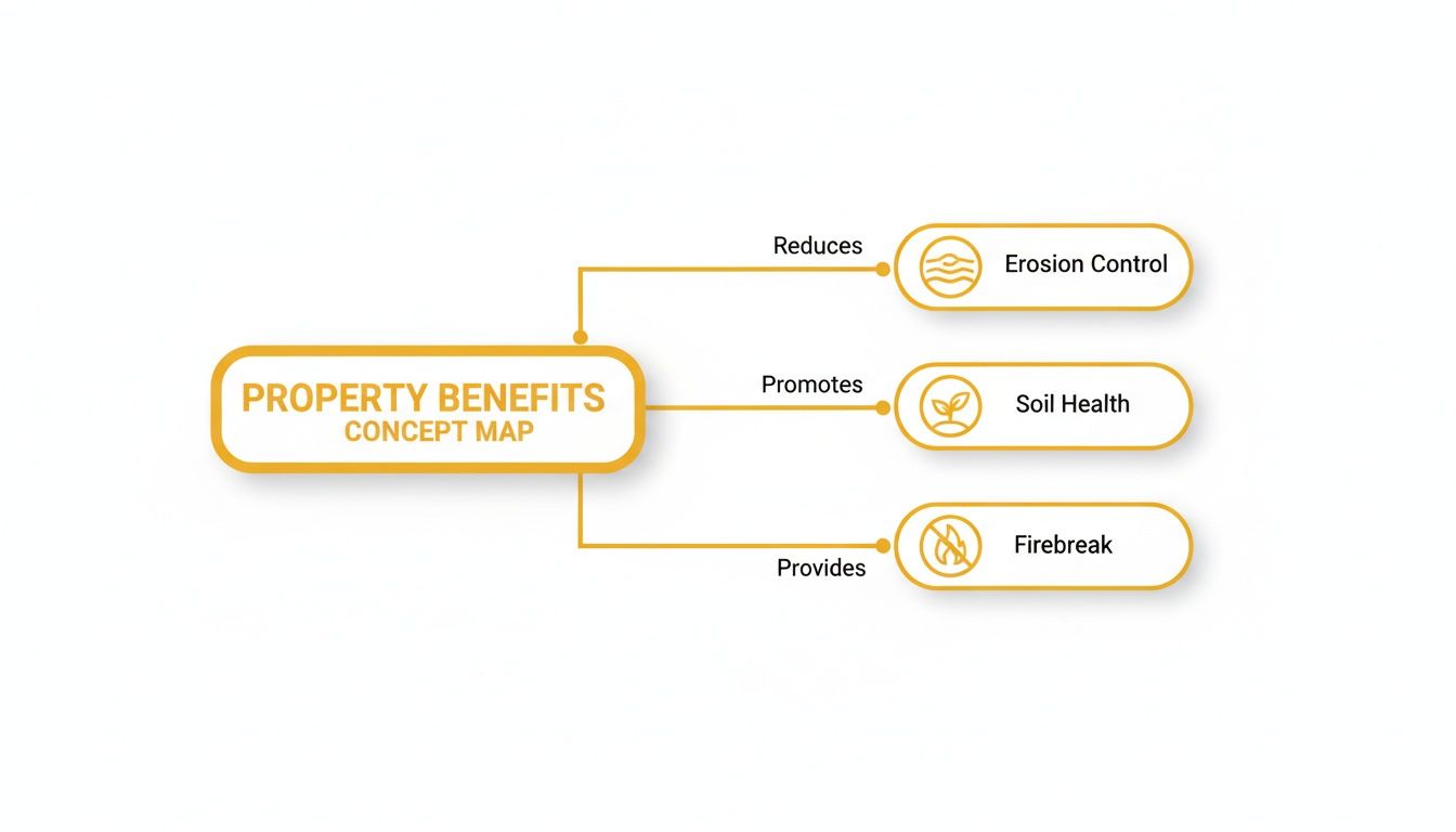 A concept map illustrating property benefits, including erosion control, soil health, and firebreak.
