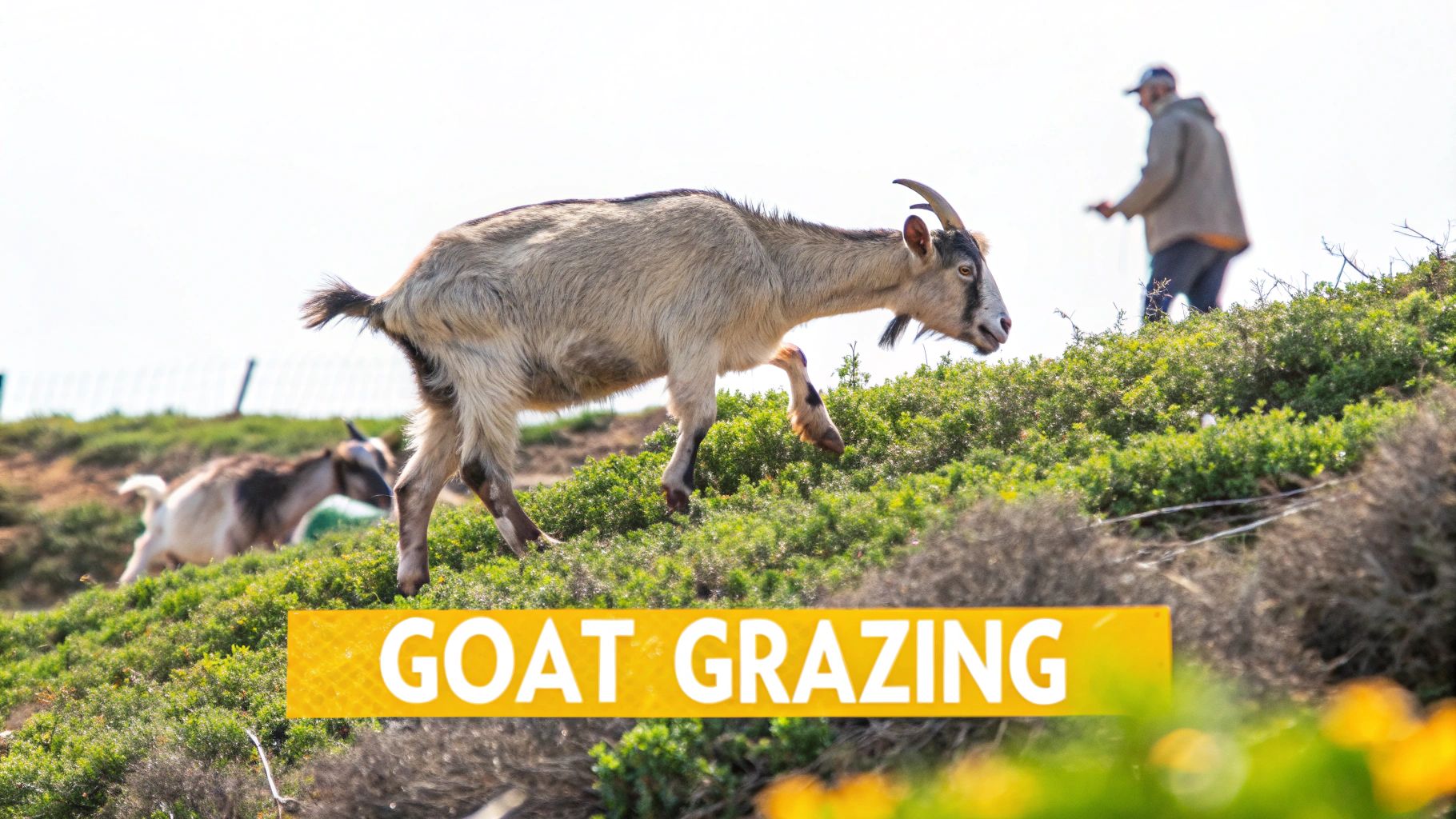 Man manually removing a tree stump with a shovel and axe in a partially cleared lot.