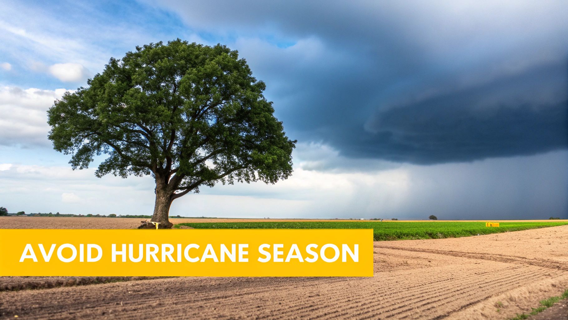 A large tree stands in a field under a split sky, with an approaching storm and a "AVOID HURRICANE SEASON" banner.