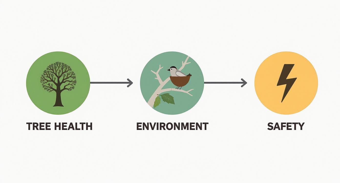Flowchart showing how tree health leads to a good environment and improved safety.
