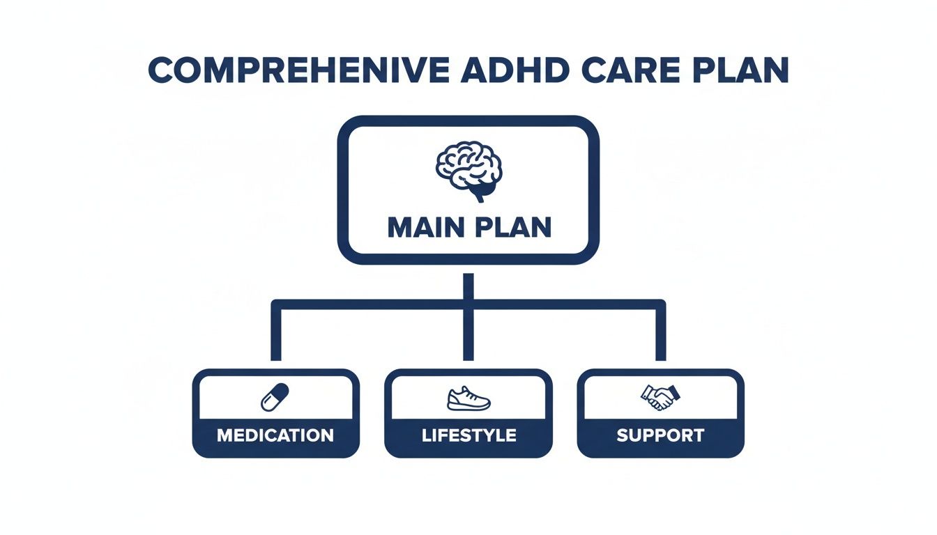 A visual diagram illustrating a comprehensive ADHD care plan with main plan, medication, lifestyle, and support.