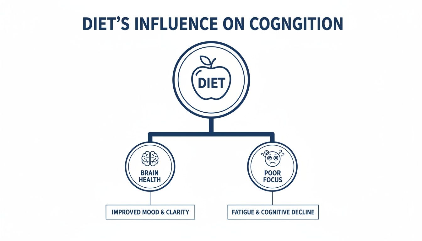 Diagram illustrating how diet influences cognition, affecting brain health, mood, clarity, focus, and cognitive decline.