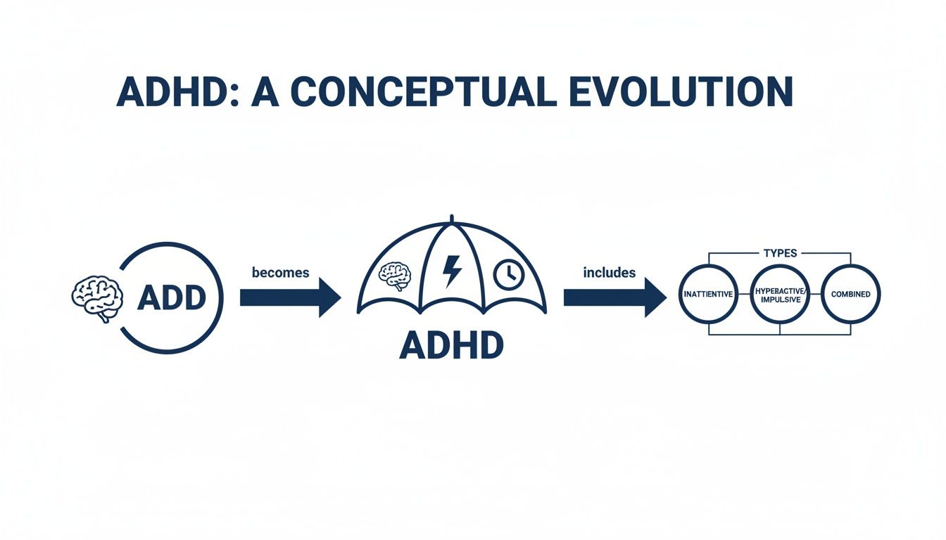 Infographic showing the evolution of ADD into ADHD, detailing its inattentive, hyperactive, and combined types.